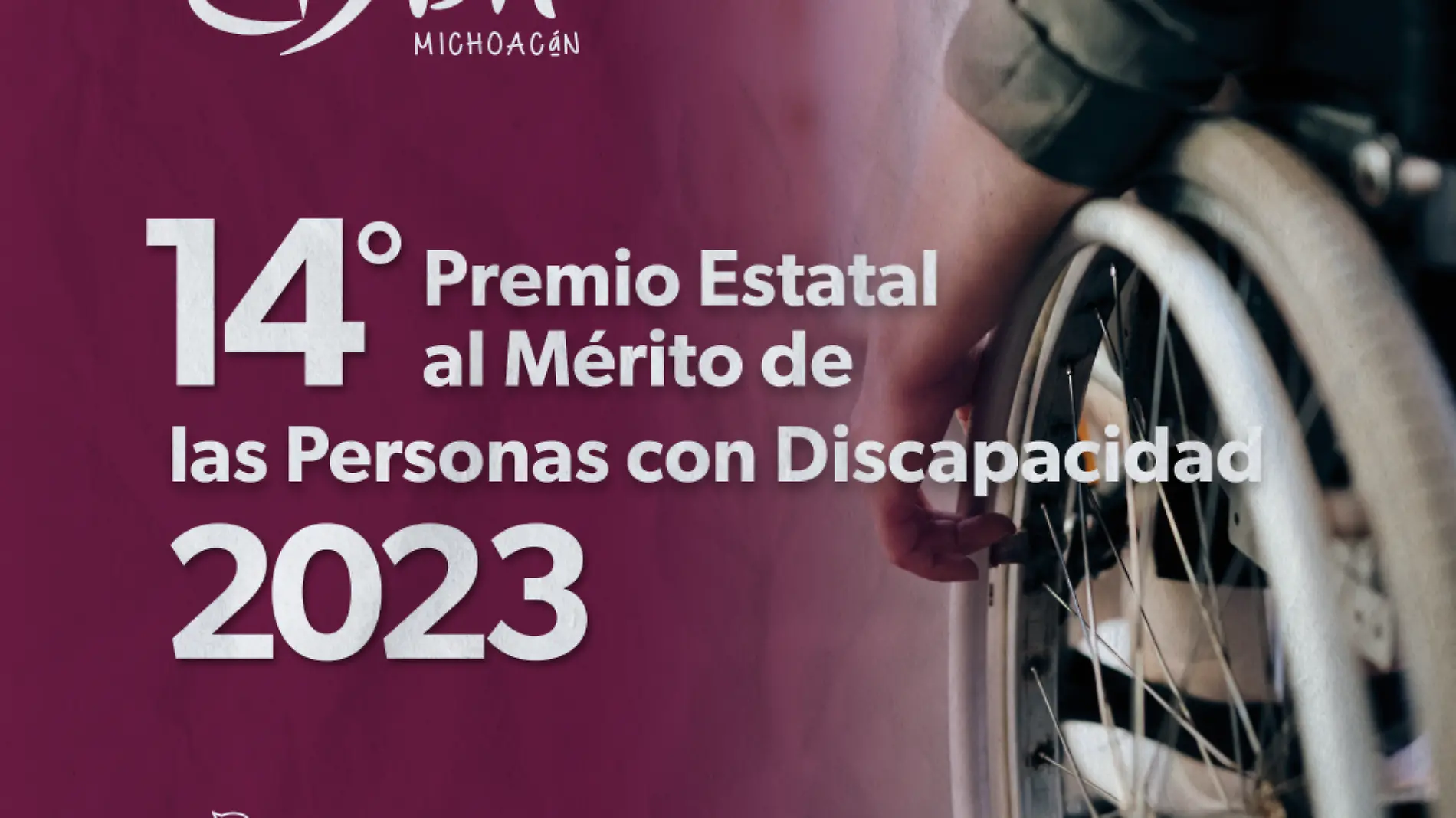 Premio al mérito a las personas con discapacidad